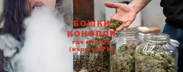 spice Дмитриев