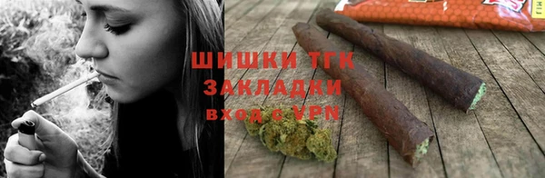 spice Дмитриев