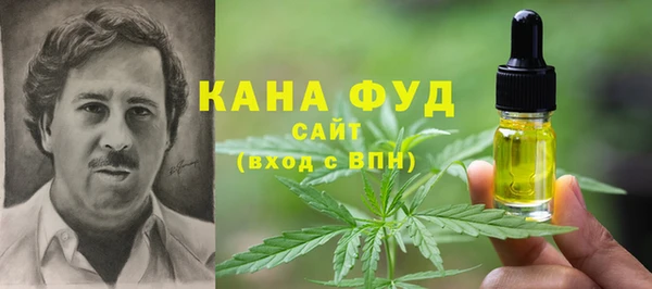 spice Дмитриев
