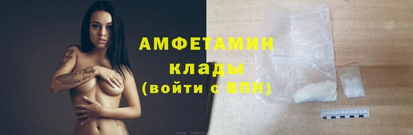 spice Дмитриев